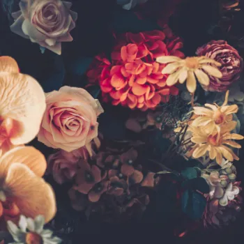 Kwiaty w wielu odsłonach.