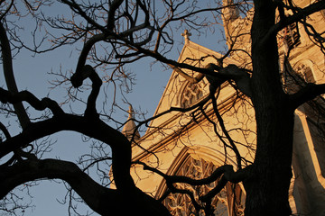 church through tree