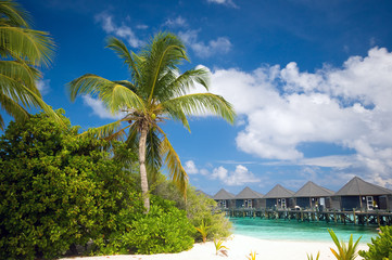 Tropischer Strand mit Wasserbungalows