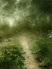 Leśna ścieżka we mgle