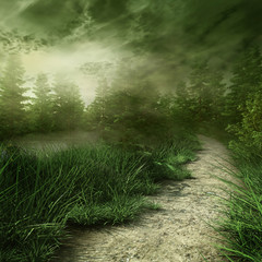 Leśna ścieżka nad rzeką