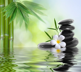 kamienie spa z frangipani