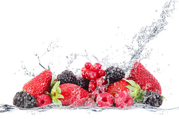 dzikie jagody splash