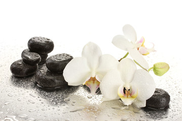 Kamienie Spa i kwiaty orchidei, na białym tle.