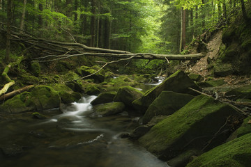 Magurski Park Narodowy