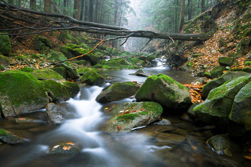 Magurski Park Narodowy