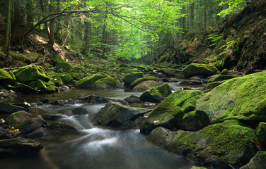 Magurski Park Narodowy