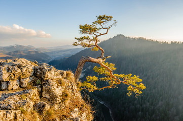 Sokolica in Pieniny Poland