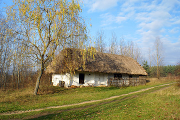 Stara wieś, chata w Tokarni