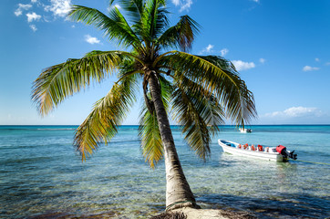Caribbean beach with boat