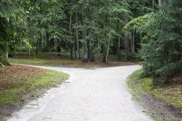 Palanga, Park botaniczny