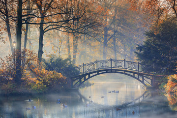 Autumn - Old bridge in autumn misty park