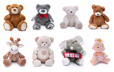 Plush stuffed animals on white background