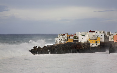 Punta Brava. Tenerife. Canary Islands. Spain