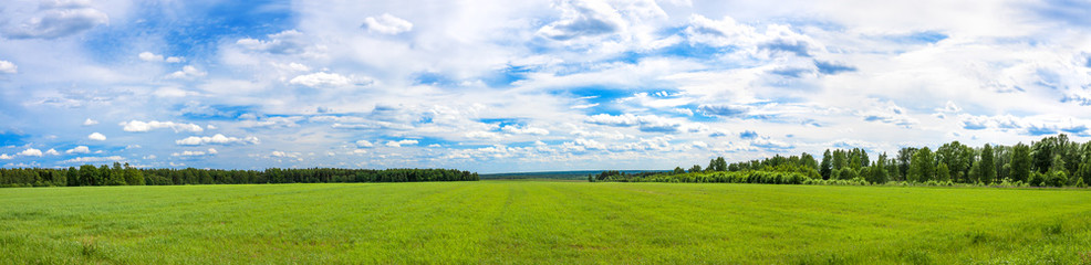 summer landscape a panorama with a field , agriculture
