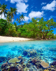 Piękna rafa koralowa.