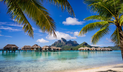 Bora Bora otoczona palmami