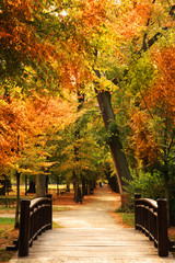 jesienny park wybiegu