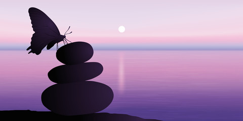 Słońce zen motylek