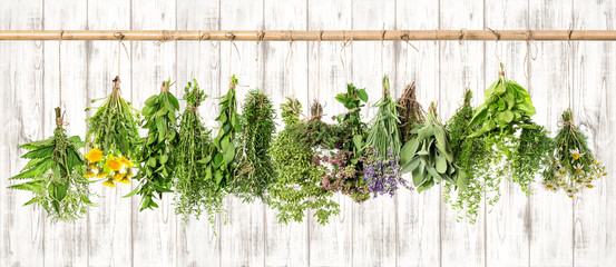 Zioła medyczne. Ziołowy aptekarz. Lawenda, mniszek lekarski, pokrzywa