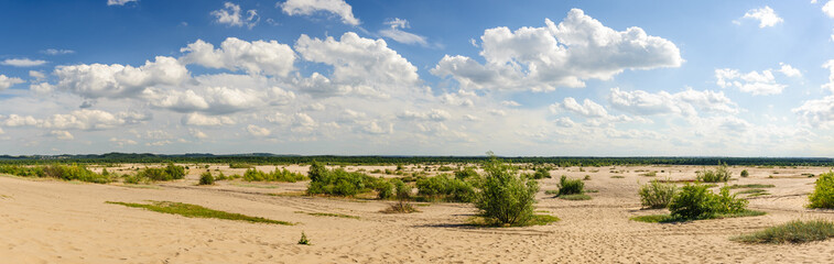 Pustynia Błędowska w Polsce