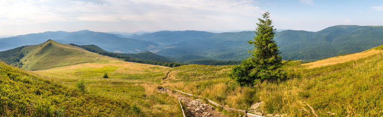 Bieszczady latem
