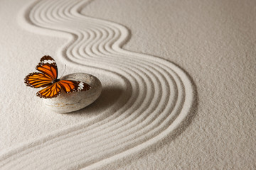 Zen butterfly