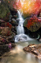 piękny wodospad głębokiego lasu w Nakornnayok, Tajlandia