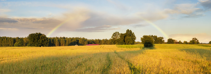 Zachód słońca nad polem