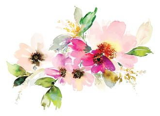 Akwarela ilustracja kwiaty