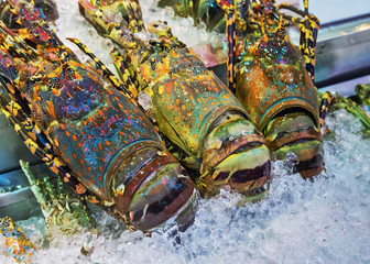 King lobsters on ice