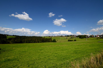 Meadow in the Tatra Mountains (Poland)