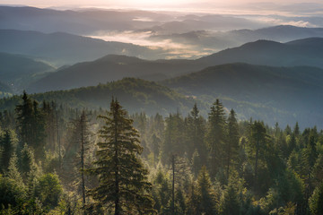 Świt w górach, Beskidy we mgle. Widok ze szczytu Gorca w kierunku południowo-wschodnim na Gorce i Beskid Sądecki