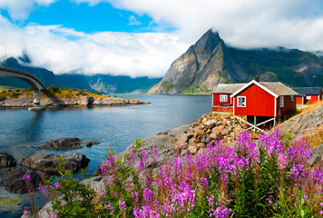 Lofoten wyspy krajobraz z tipical czerwonymi domami, Norwegia