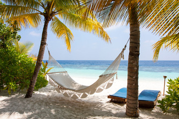 Maldive amaca tra le palme