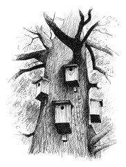 a powerful old tree in a forest where there are a lot of houses for the birds acting their shelter