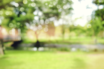 niewyraźne tło bokeh drzew ogrodowych w słoneczny dzień