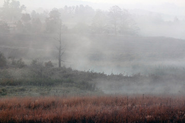 Uroczy Mglisty Jesienny ŚWIT