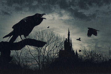 horror scene with a raven in front and castle at back under rain at dusk on blue background