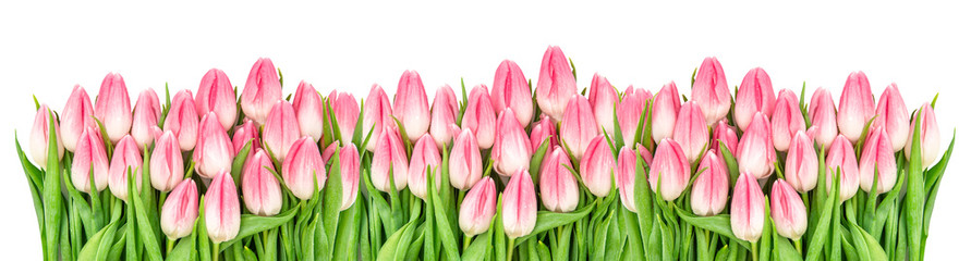 Baner kwiatów tulipanów świeżych wiosennych Kwiatowy bukiet 