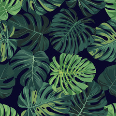 Wektorowy bezszwowy wzór z zieloną monstera palmą opuszcza na ciemnym tle. Projekt tropikalnej tkaniny letniej.