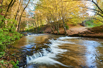 Szumy na roztoczu na rzece Tanew