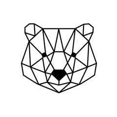 głowa niedźwiedzia