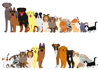 Granica psów i kotów ułożonych w kolejności wzrostu