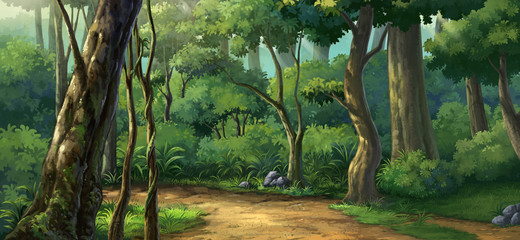 Poranne światło w lesie