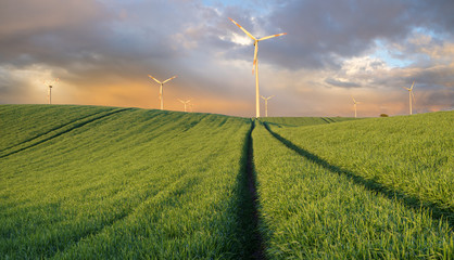 Turbiny wiatrowe w polu wiosennym
