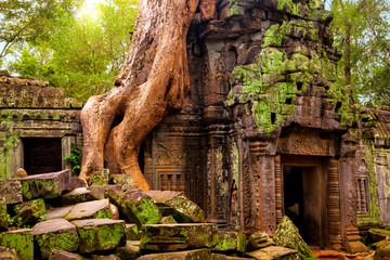 Świątynia Ta Prohm. Antyczna Khmer architektura pod gigantycznymi korzeniami drzewo przy Angkor Wat kompleksem, Siem Reap, Kambodża.