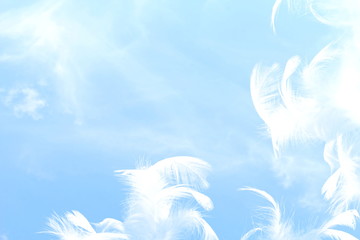 pokojowa wolność lub sen związane pojęcie tła