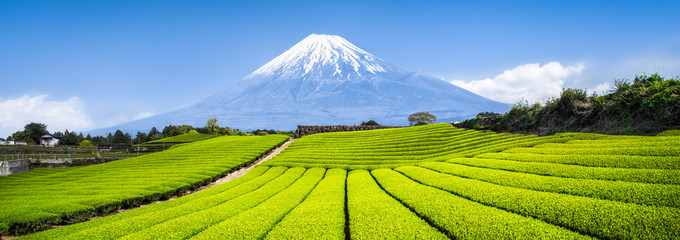 Góra Fuji i pola herbaciane w Japonii