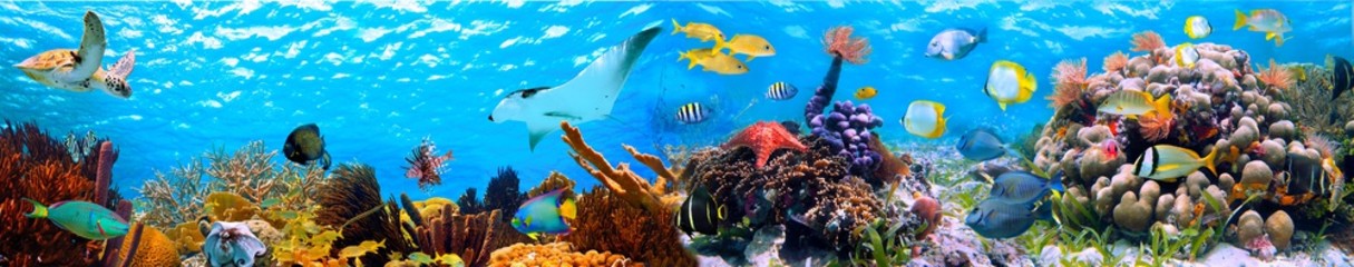 Vega Aqua Panoramic Obraz